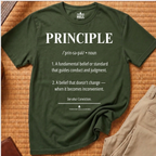PRINCIPLE — DEFINED